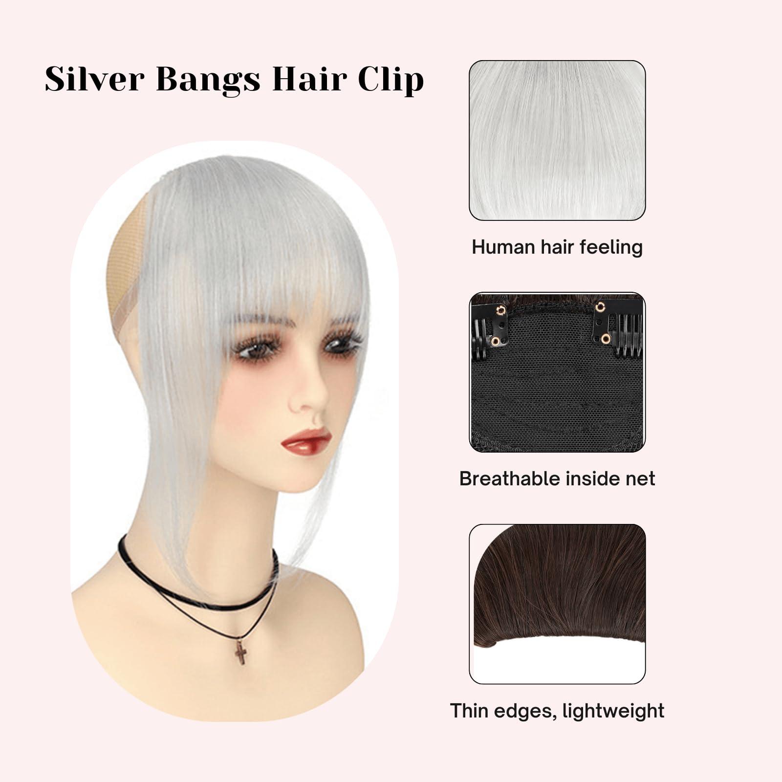 VAVANGA VAVANGA French Hair Bangs Clip on, Silver Grey Long Wispy Bangs Hair Clip with Temples Natural Fringe Neat Bangs Hair Clip Hair Piece Long Bangs Clip in Hair Extensions for Women(Silver Grey)