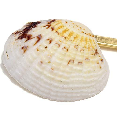 Doubnine Doubnine Hair Clips 4PCS Gold Mermaid Shell Cowrie Freshwater Bangs Clips Beach Headpiece Wedding Hair Accesories