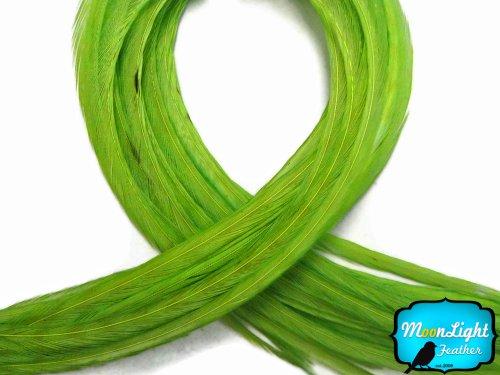 Moonlight Feather Moonlight Feather, Hair Extension Feathers - Solid Lime Color - 7-10 Inches Long, 10 Feathers