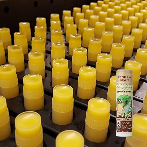 Badger Badger - Cocoa Butter Lip Balm, Vanilla Bean, Certified Organic Lip Balm, Fair Trade, Lip Butter, Lip Balm Cocoa Butter, Cocoa Care Lip Balm, 0.25 oz (4 Pack)