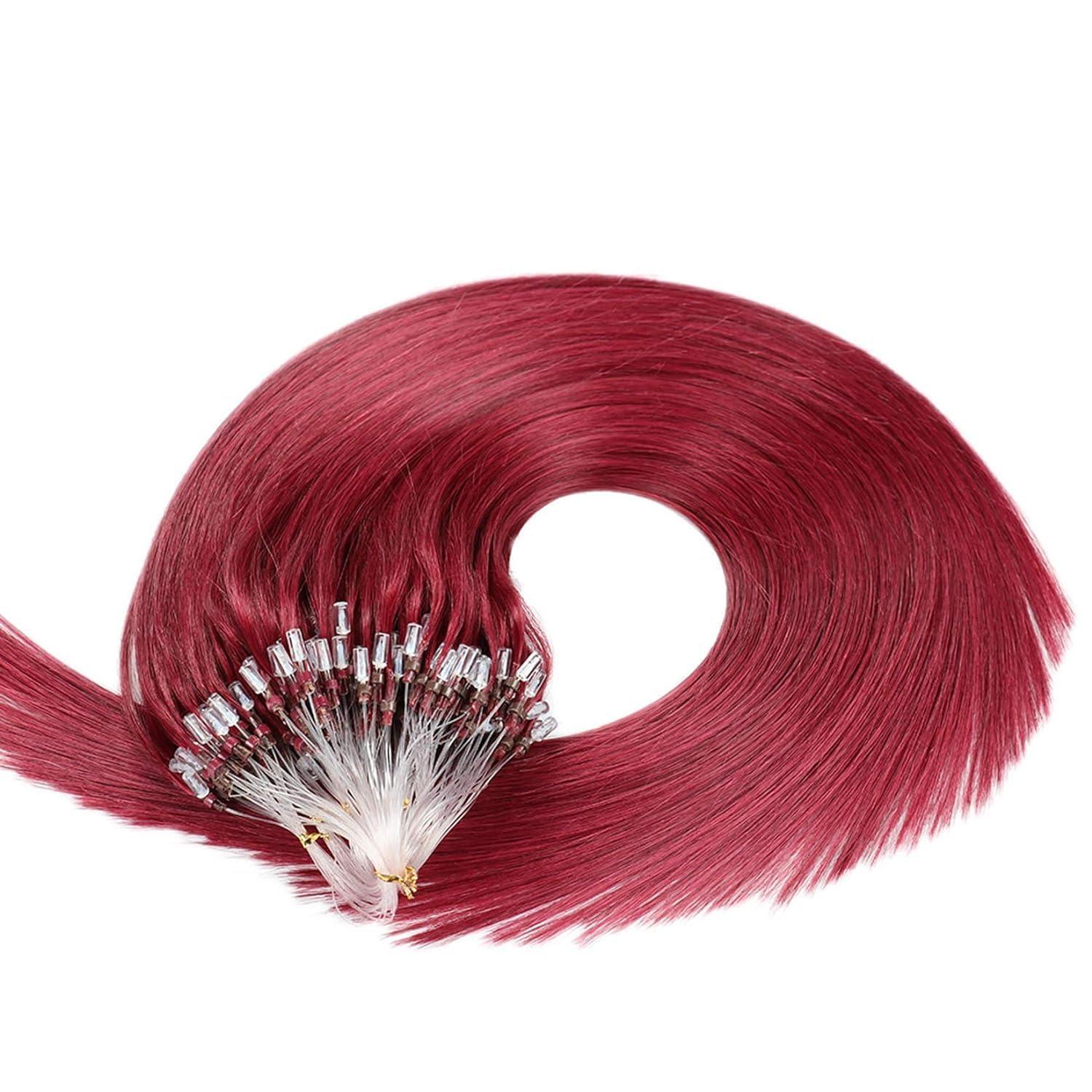 FUIBEJAE Micro Link Human Hair Extensions Micro Ring Loop Remy Hair Fish Line Natural Straight Real Hair Extension for Women 50G,16inch