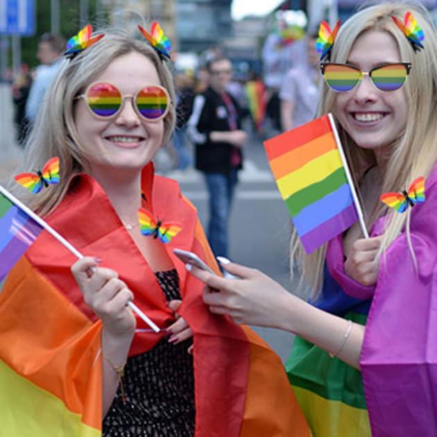 RIHDXCH 6 Pieces Gay Pride Day Rainbow Butterfly Hair Clip.Holiday Hair Accessories for Girls Women Wedding Birthday Gifts.LGBT Women Girls Party Parades Celebrations Festival Decorations