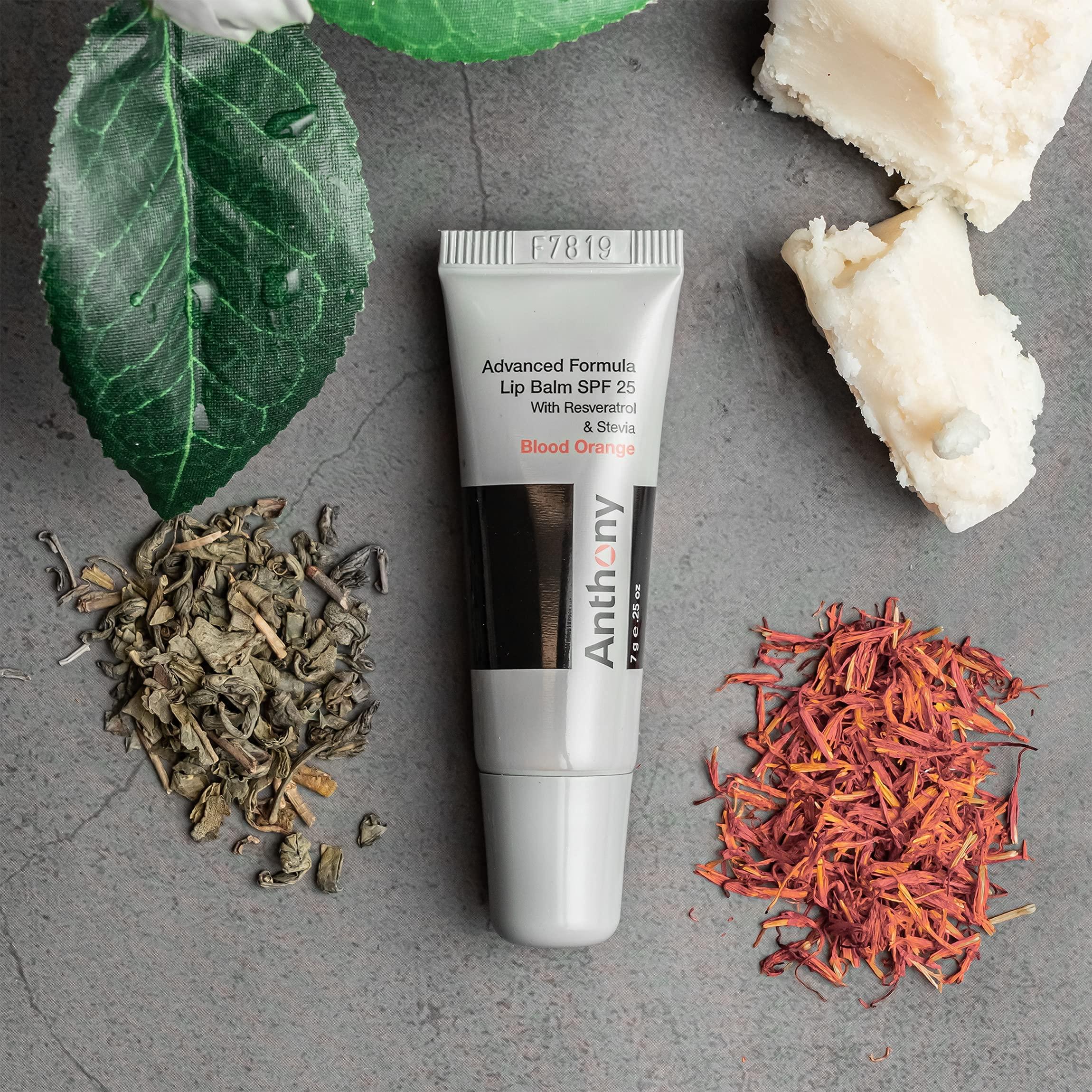 Anthony Anthony SPF 25 Lip Balm with Sunscreen, Blood Orange Flavor, Green Tea Extract, Shea Butter and Vitamin E, Moisturizing Repair Treatment for Chapped and Dry Lips, Protects and Hydrates Lips, 0.25 Oz