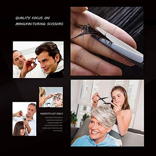 FARI FARI Hair Cutting Scissors Kit, Barber Haircut Thinning Scissors Hairdressing Shears for Salon and Home (Silver)
