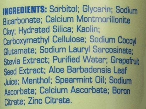 Zion Health Zion Health Claybrite Natural Toothpaste, Natural Mint, 4 Ounce (Packaging may vary)