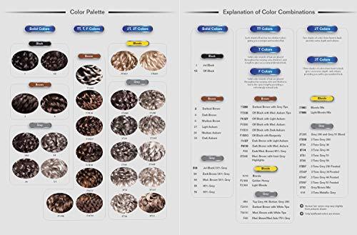 Foxy Silver Alicia Beauty Foxy Silver Collections Short Straight Style Wigs, 100% Human Hair Wig, Bring Gorgeous Grey - HH SYLVIA (1B)