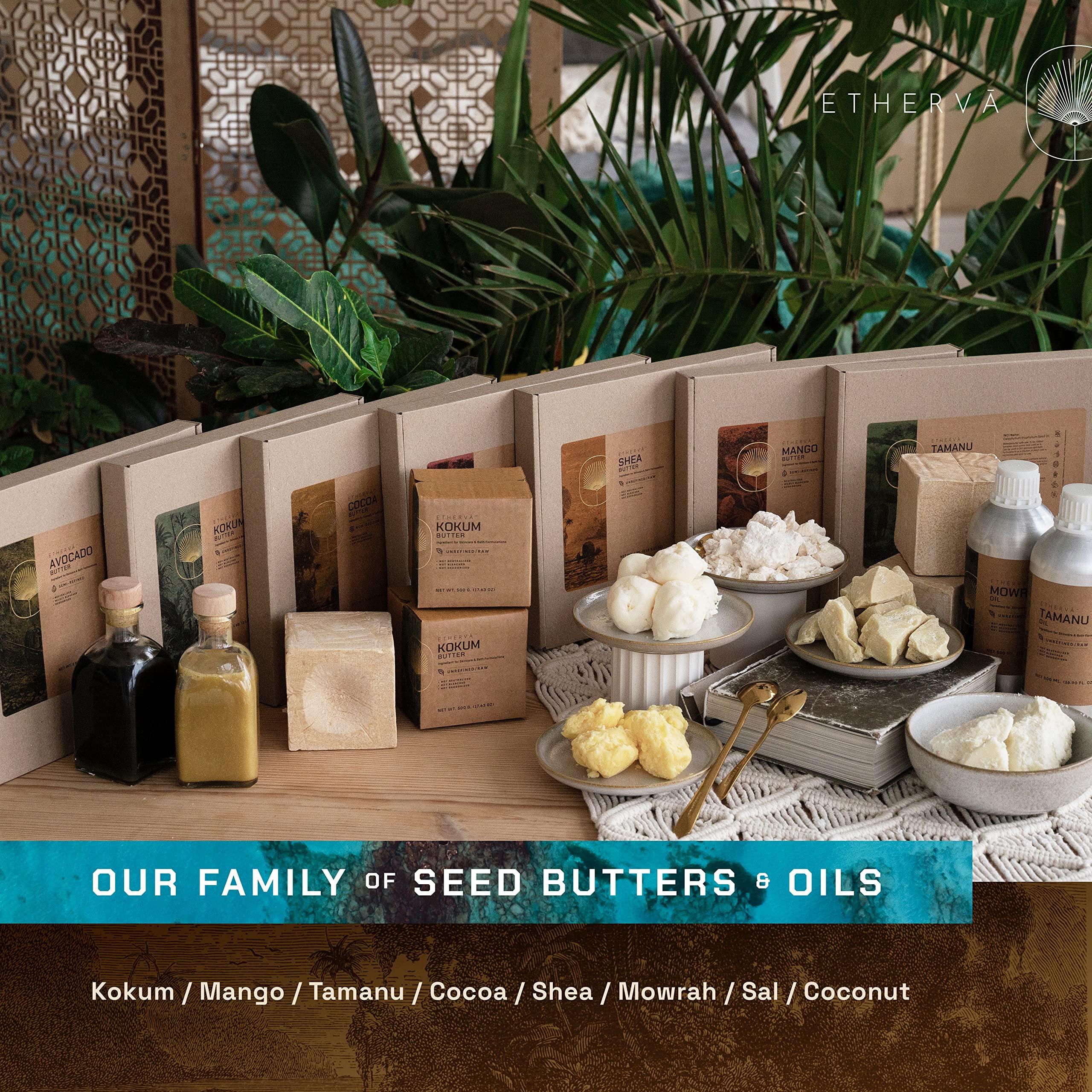 ETHERVA ETHERVA Cold Pressed Tamanu Oil | Bulk DIY Pack | Unrefined, Raw, Wild Grown Organic Tamanu Seeds | Vegan | Carrier Oil For Skin, Body, Scalp, Hair | For Whipped Creams | Glass Bottle 17.5 Fl Oz