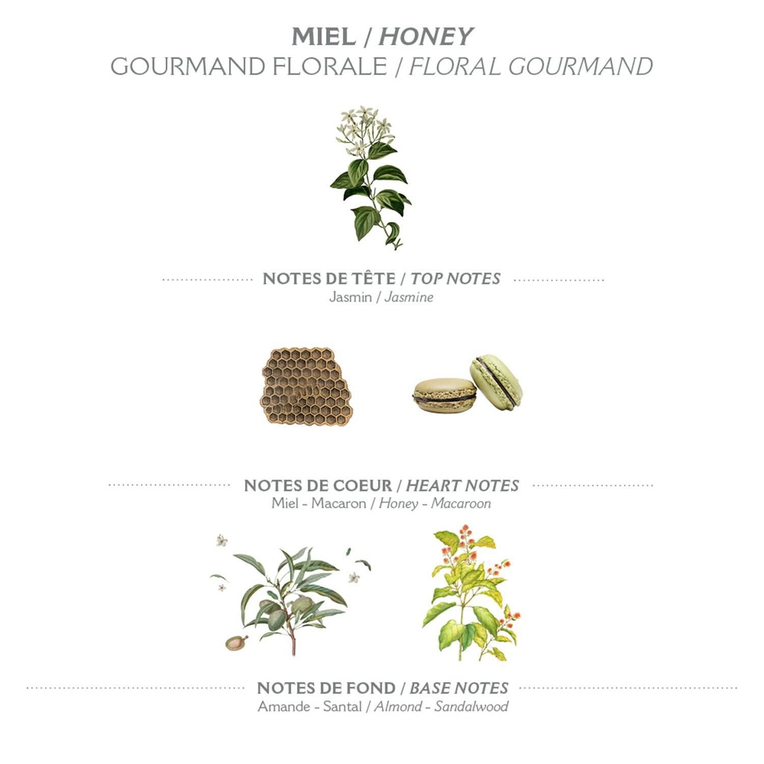 Panier des Sens Panier des Sens - Liquid Hand Soap Honey Exfoliating Hand Wash - French Marseille Moisturizing Soap with Coconut Oil - Refillable Kitchen & Bathroom Hand Soap - 97% Natural Ingredients -16.9 Fl.oz