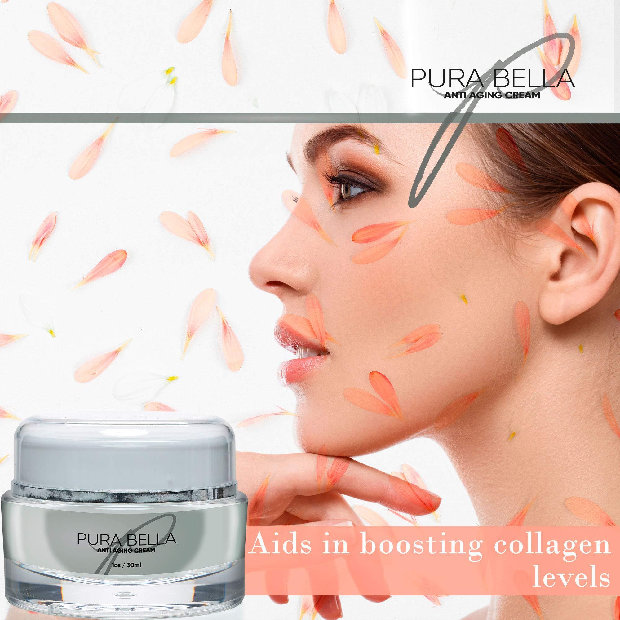 Pura Bella PURA BELLA Anti Aging Cream - Boosts Collagen & Elastin Production
