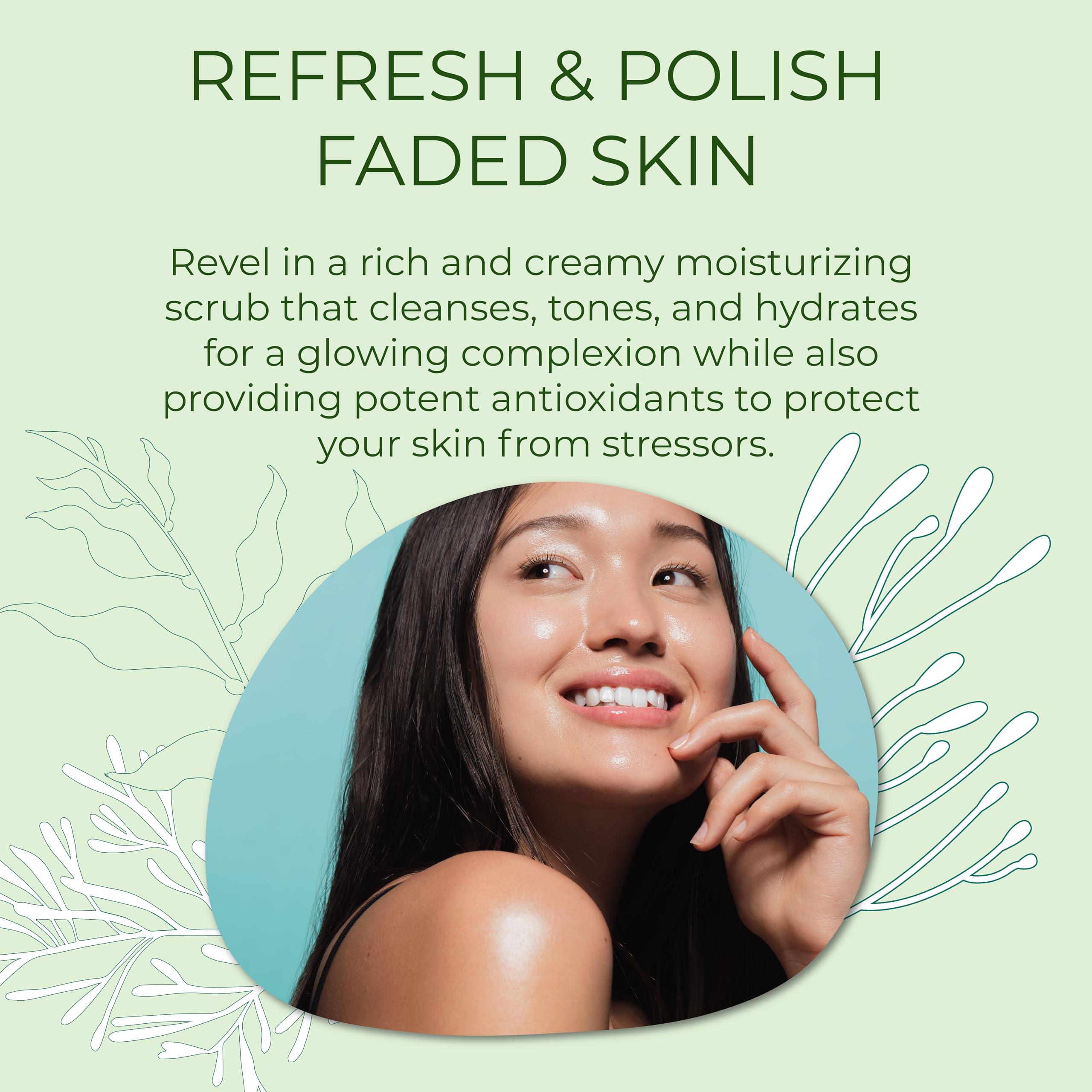 Sea-El Sea El Coconut Kiwi Exfoliating Face Scrub Hydrating Calming & Purifying Anti Aging Exfoliator - Bamboo Pumice & Green Tea Detoxifying Exfoliant Facial Cleanser & Polish for Women & Men - 4 Oz