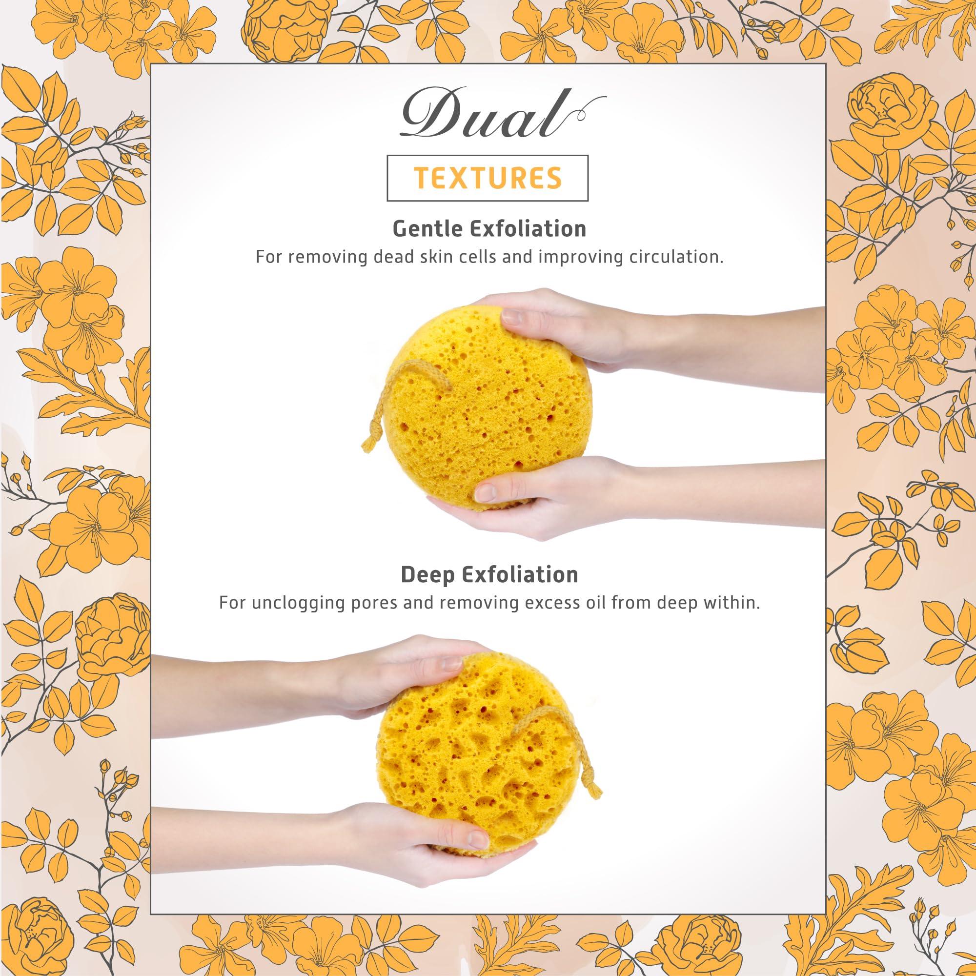 Sunlite Sports Spongentle Deep Cleansing Body Loofah Sponge, for Bath and Shower Loofah with Suction Cup, Multiple Textures for Gentle and Deep Exfoliation, with Nature Color, Generous and Rich Lather (Pack of 2)