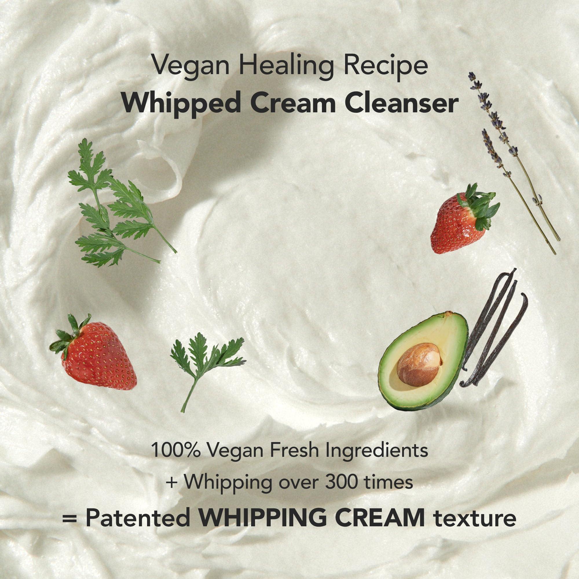 Whipped Semo Company WHIPPED Cream Facial Cleanser Mugtree - Mugwort & Teatree Face Wash - For Oily Skin, Sebum & Pore Care - Moisturizing Face Cleanser, Niacinamide, Hyaluronic Acid, Vegan Korean Skincare, 2.8 oz