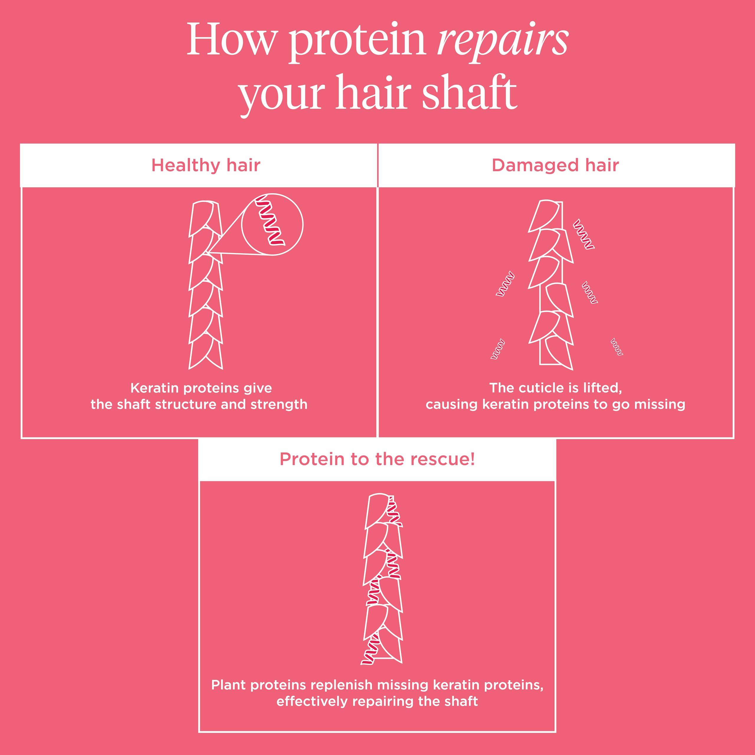 Briogeo Briogeo Don't Despair, Repair! Rich Rice Shampoo Concentrate, Protein Shampoo for Severely Damaged Hair, Water-Activated Concentrate Shampoo, Vegan, Cruelty-Free, 3 fl oz