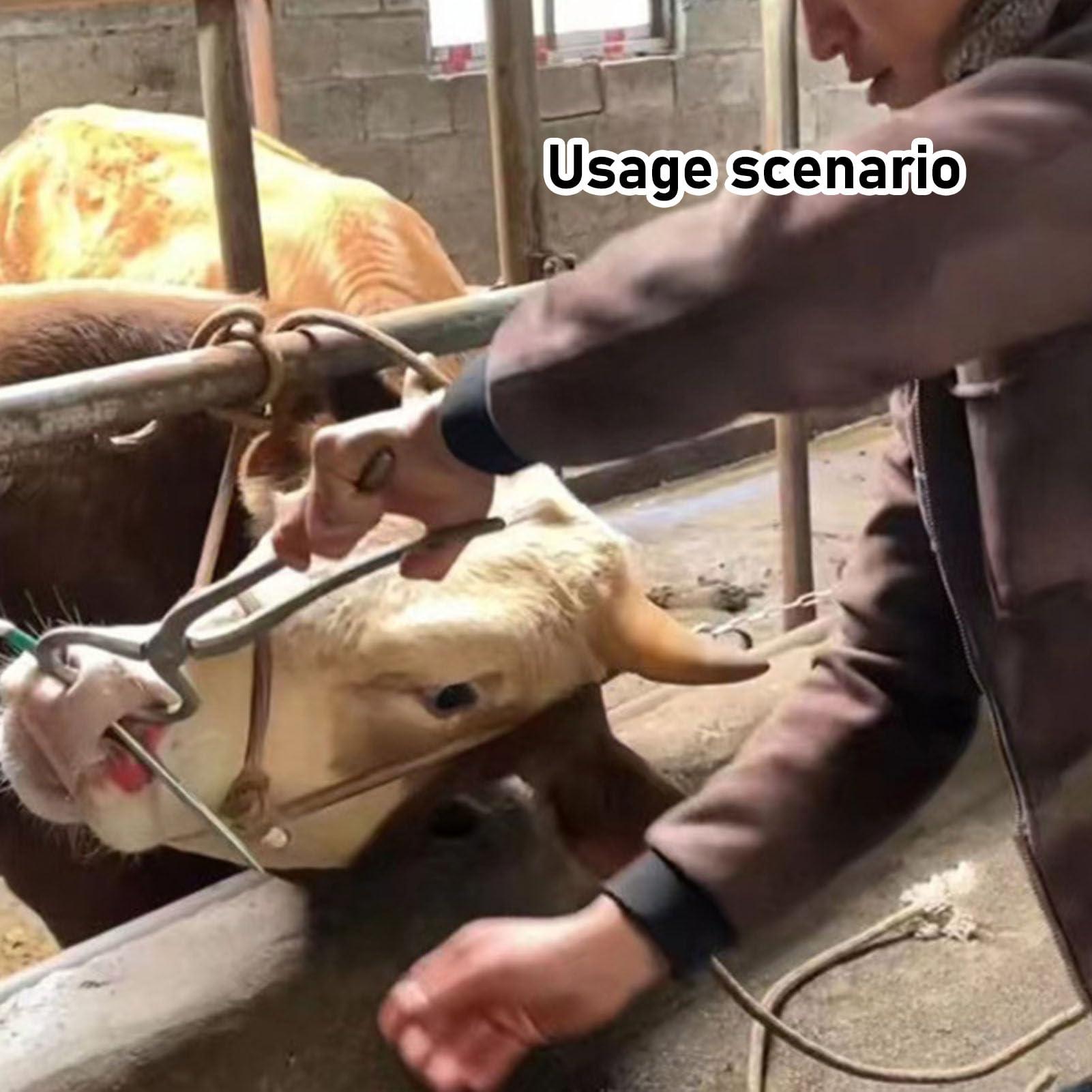 MAVIS LAVEN Cow Nose Piercing Needle, 304 Stainless Steel Cattle Nose Piercing Needle with Hole for Farm Home Cattle Nose Piercing (M)