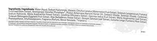 Yes To Yes To Watermelon Daily Gel Moisturizer, Skin Texture Improvement & Refreshing, Antioxidants, Sodium Hyaluronate, 1.7 Fl Oz