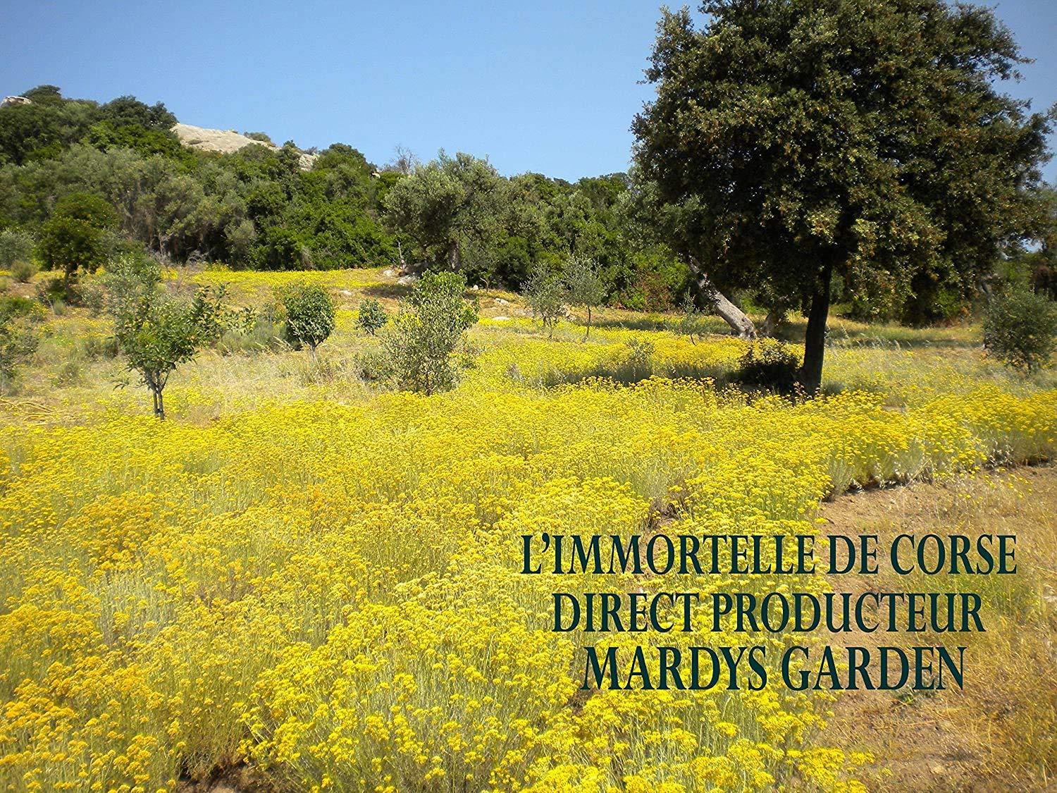 MARDYS GARDEN MARDYS GARDEN Handcrafted multifunction Immortal Dry Oil 15ml - ORGANIC Oil for Hair, Face, Body - Revives and Revitalizes - Made in FRANCE