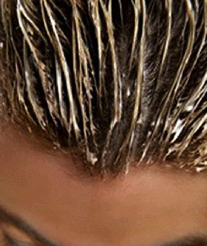 Zakia's Morocco Zakia\'s Morocco Moroccan Rhassoul Clay Mask (Rose Scented) - Organic Natural Facial Mask and Skin Care Treatment - Anti-aging Mud Mask Heals Dry & Oily Skin, Acne, Eczema & Psoriasis - 8 Oz