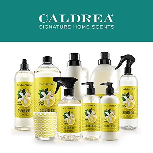 Caldrea Caldrea Hand Wash Soap, Aloe Vera Gel, Olive Oil and Essential Oils to Cleanse and Condition, Sea Salt Neroli Scent, 10.8 oz