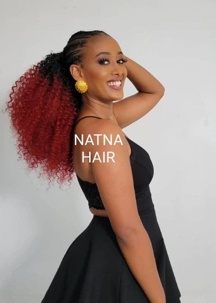 NATNA HAIR Natna Hair Synthetic 4 Bundle Hair Extension for Traditional Eritrean Ethiopian Hair Braiding (Sanday Burgundy)