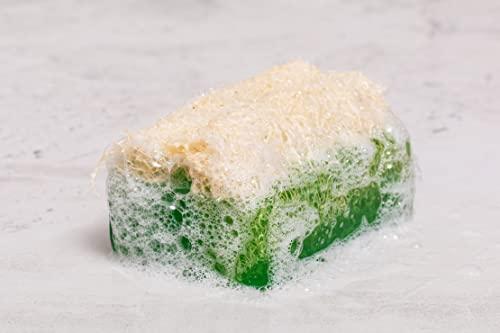 SABUN NATURALLY LAVISH Argan Oil Loofah Soap Bar - Natural Exfoliating Soap with Loofah Inside - Smells Like Bright Floral Citrus - Handmade with Moroccan Argan Oil, Jojoba Oil - Face & Body Scrub Bar [4.4 oz - 125 gr]