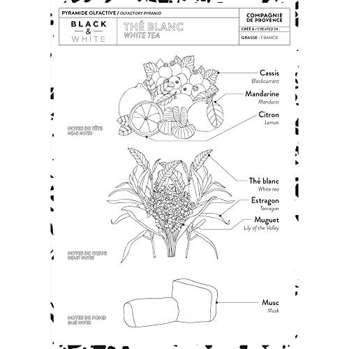 La Compagnie de Provence Compagnie de Provence Luxury Hand Cream - White Tea - 10 Fl Oz Glass Pump Bottle