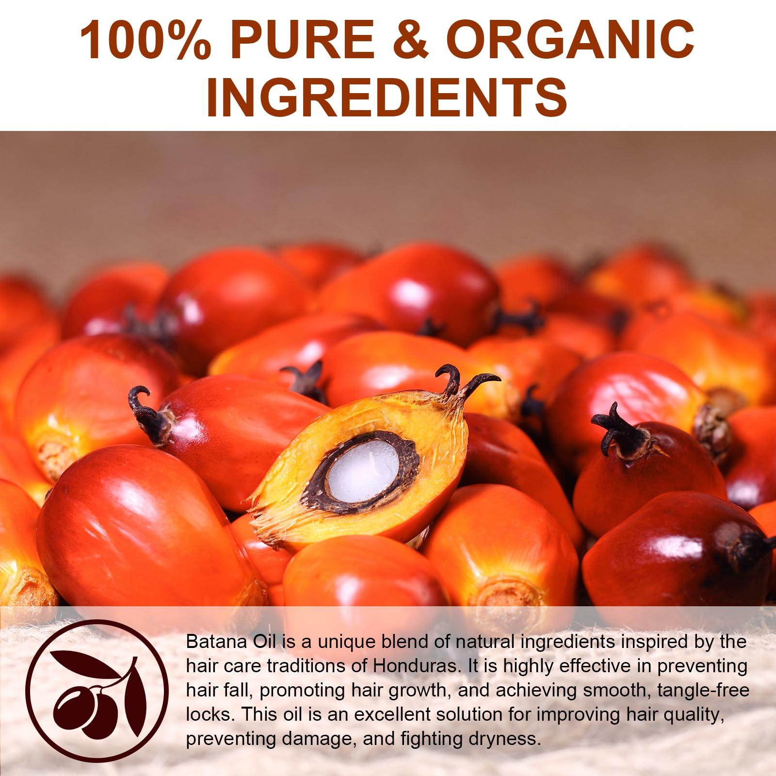 SONHO Premium Raw Batana Oil - Dr Sebi & Dr Truth Recommended - batana oil from Honduras.100% Organic. Promotes Hair Growth and thickness, for Men & Women Unrefined, Hypoallergenic, Prevents Hair Loss.