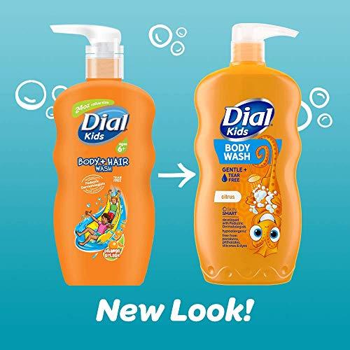 Dial Dial Kids Body Wash, Citrus, 24 fl oz (Pack of 4)