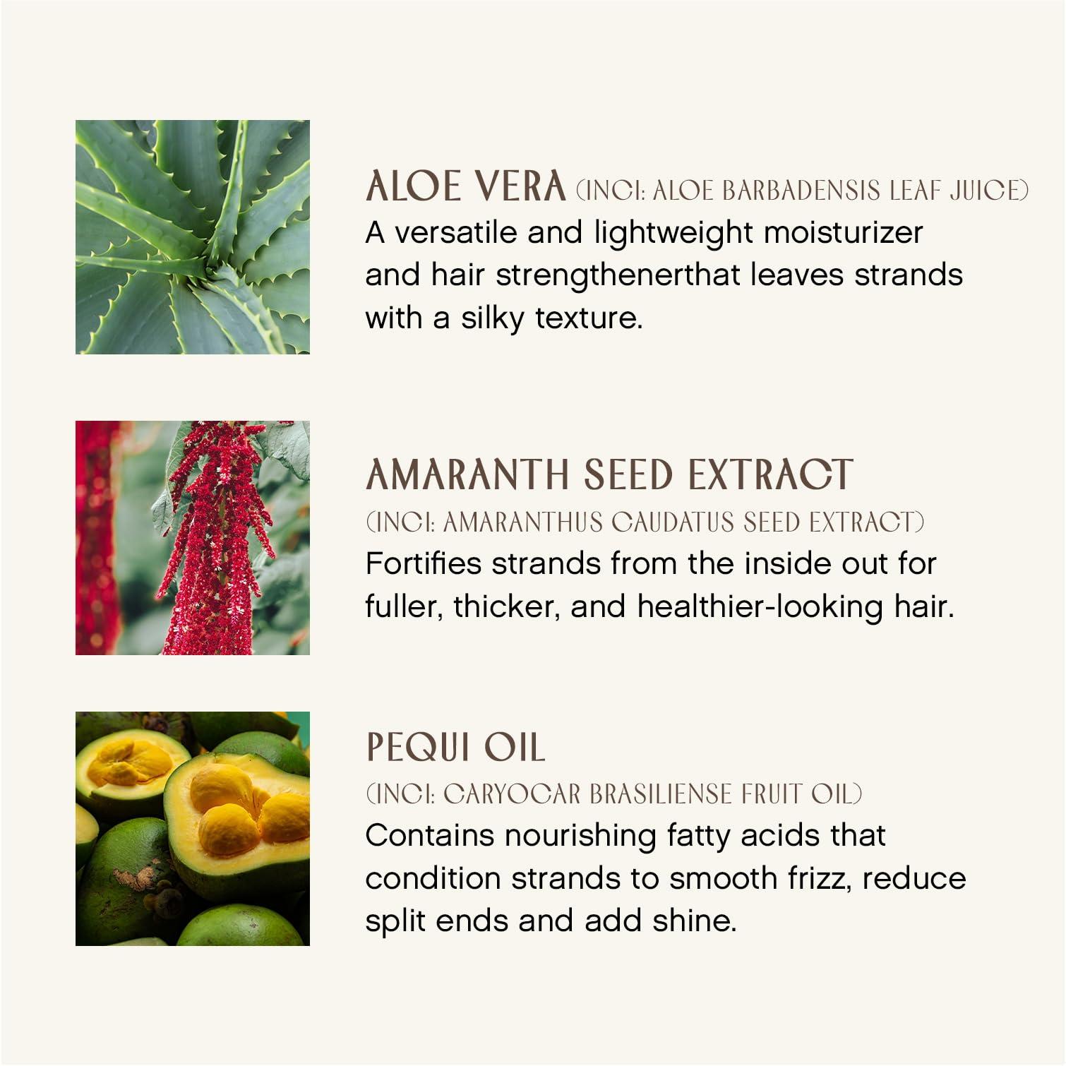 INNERSENSE INNERSENSE Organic Beauty - Natural I Create Definition Styling Foam | Clean Haircare For Long-Lasting Curls (6 fl oz | 177 ml)