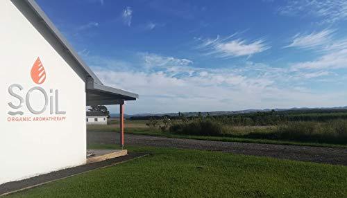 soil soil Organic Argan Oil - 100% Pure - Certified Organic - Cold Pressed and Unrefined - 30ml