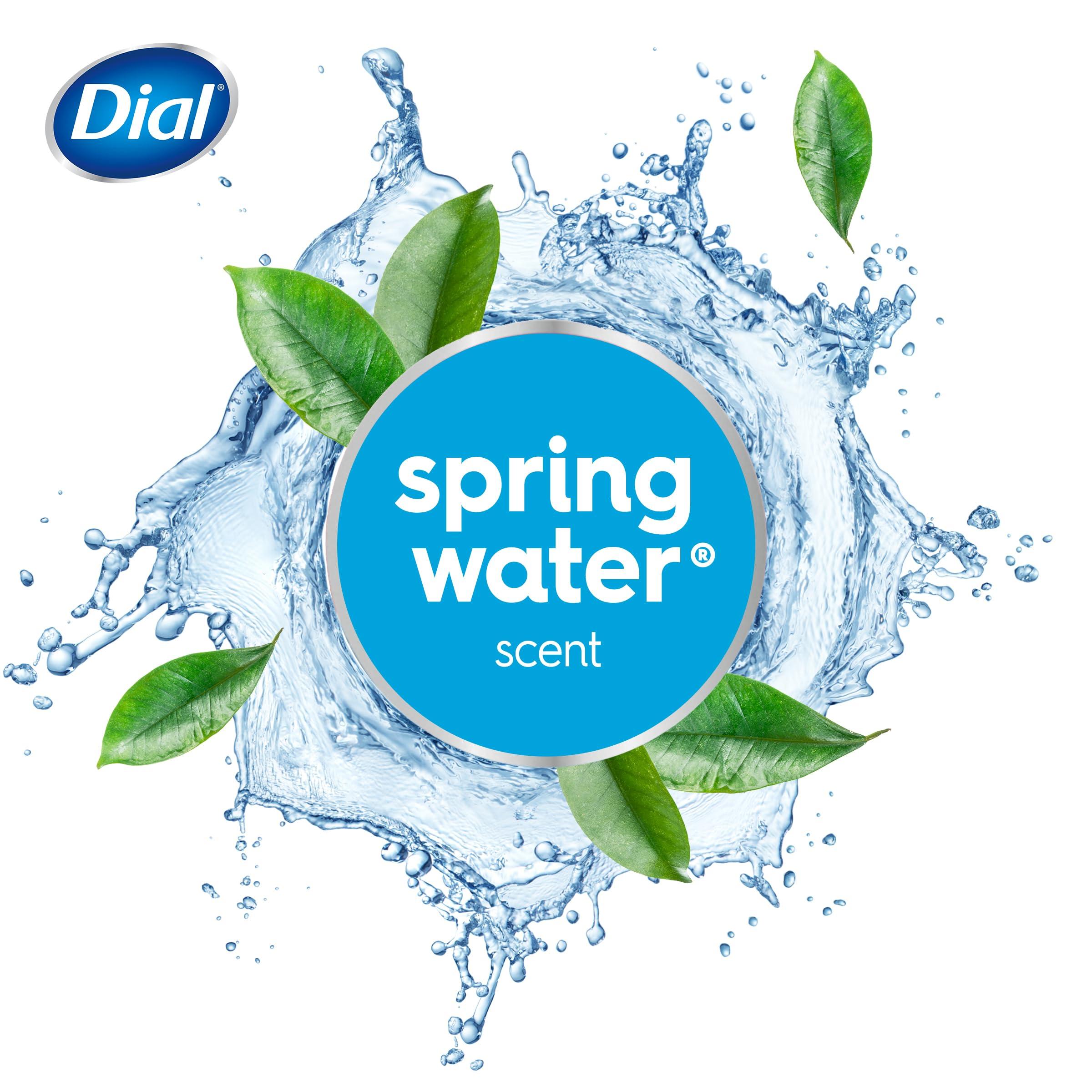 Dial Dial Body Wash, Refresh & Renew Spring Water, 32 fl oz