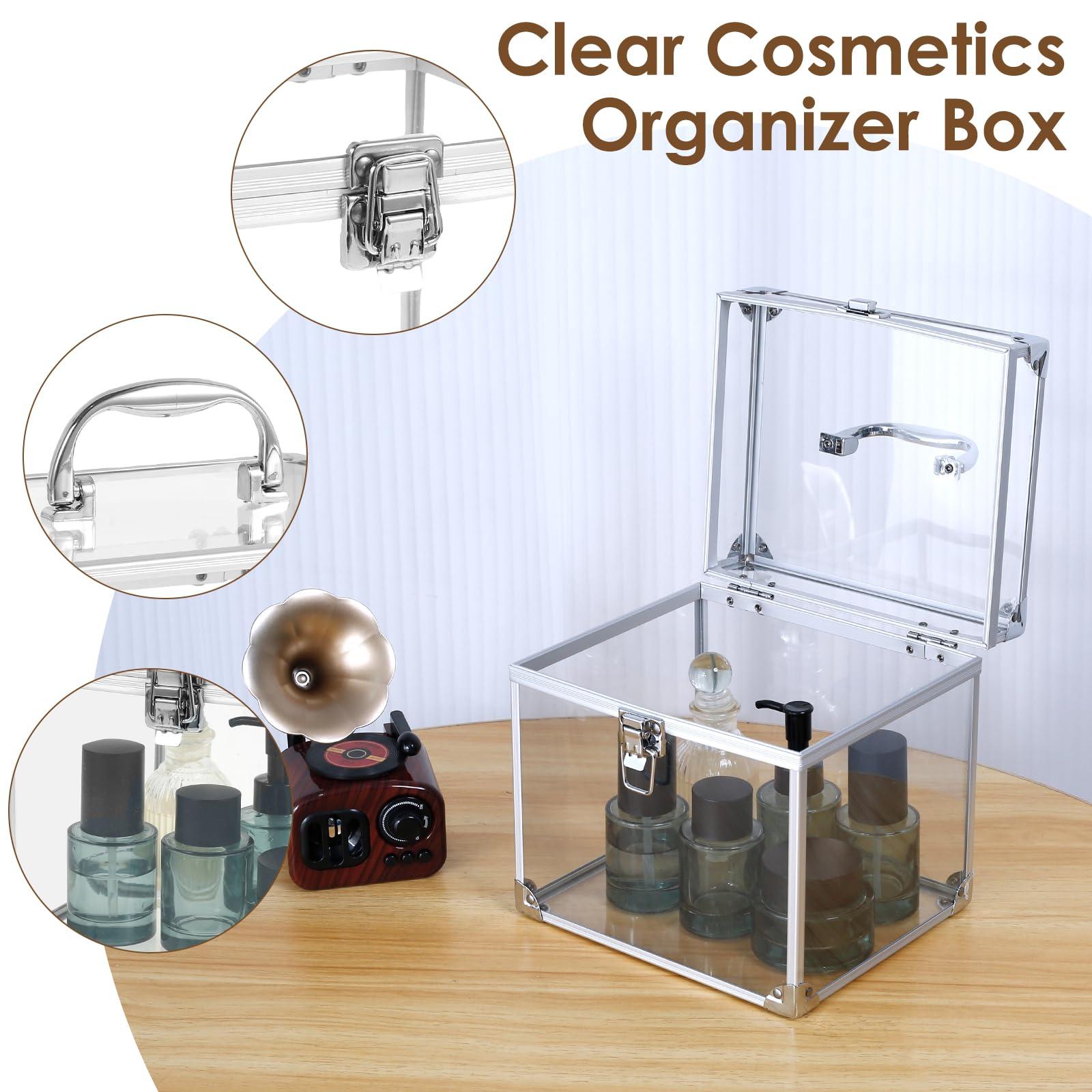 LYIYEYAN LYIYEYAN Makeup Box Clear Cosmetic Case with Latches and Handle Large Capacity Toiletry Organizer Box Portable Travel Makeup Tools Box for Vanity Bathroom Counter Dresser (Silver)