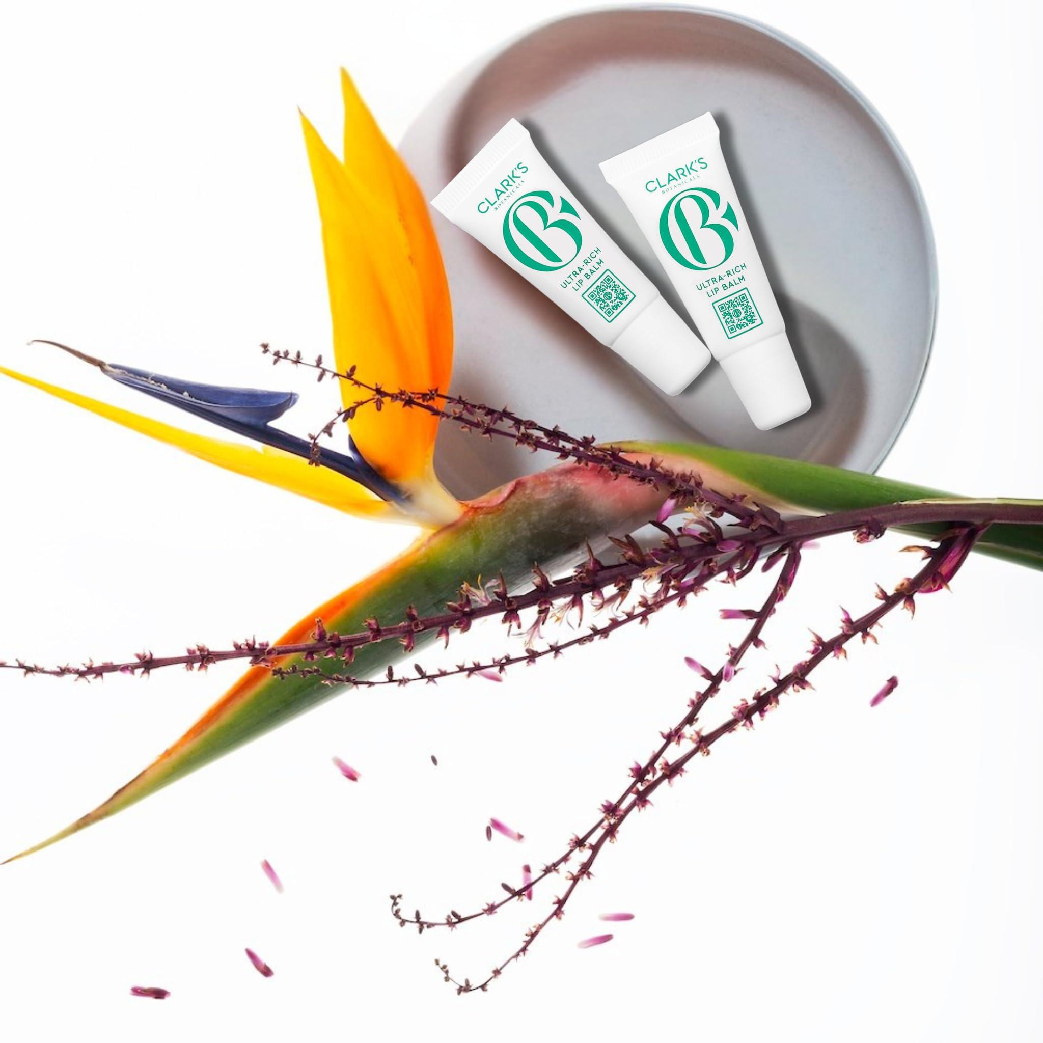 Clark\'s Botanicals Clark\'s Botanicals Travel Size Mini Ultra Rich Lip Balm: Plumping Moisturizer with Collagen and Shea, Mango & Avocado Butter + Vitamin E, Stimulating Organic Lip Treatment | 0.14 fl oz (Pack of 2)