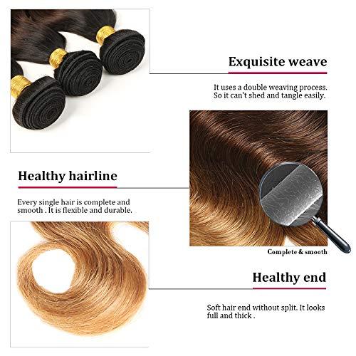 InsQueen Ombre Blond Bundles with Closure Brazilian Virgin Human Hair #1B/4/27 Body Wave Blond Human Hair Bundles with 4x4 Lace Closure Hair Extension (12 14 16+10 Inch)
