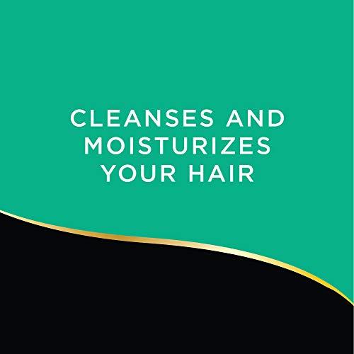 AGREE Agree Olive Oil Shampoo, Color Safe and Paraben Free, 12.5 oz