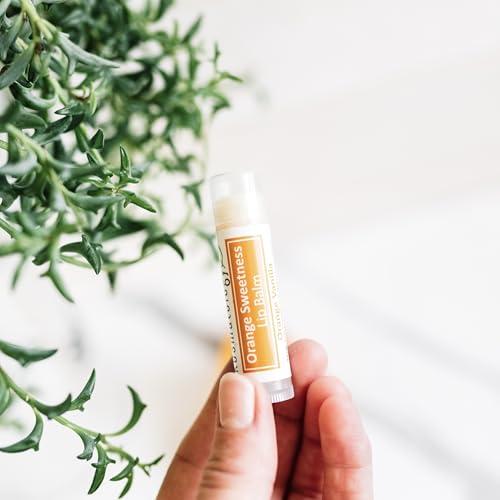 kosmatology Kosmatology Organic Orange Vanilla Lip Balm - 4 Pack | Beeswax Free | Vegan | 100% Natural Moisturizer for Cracked & Dry Lips