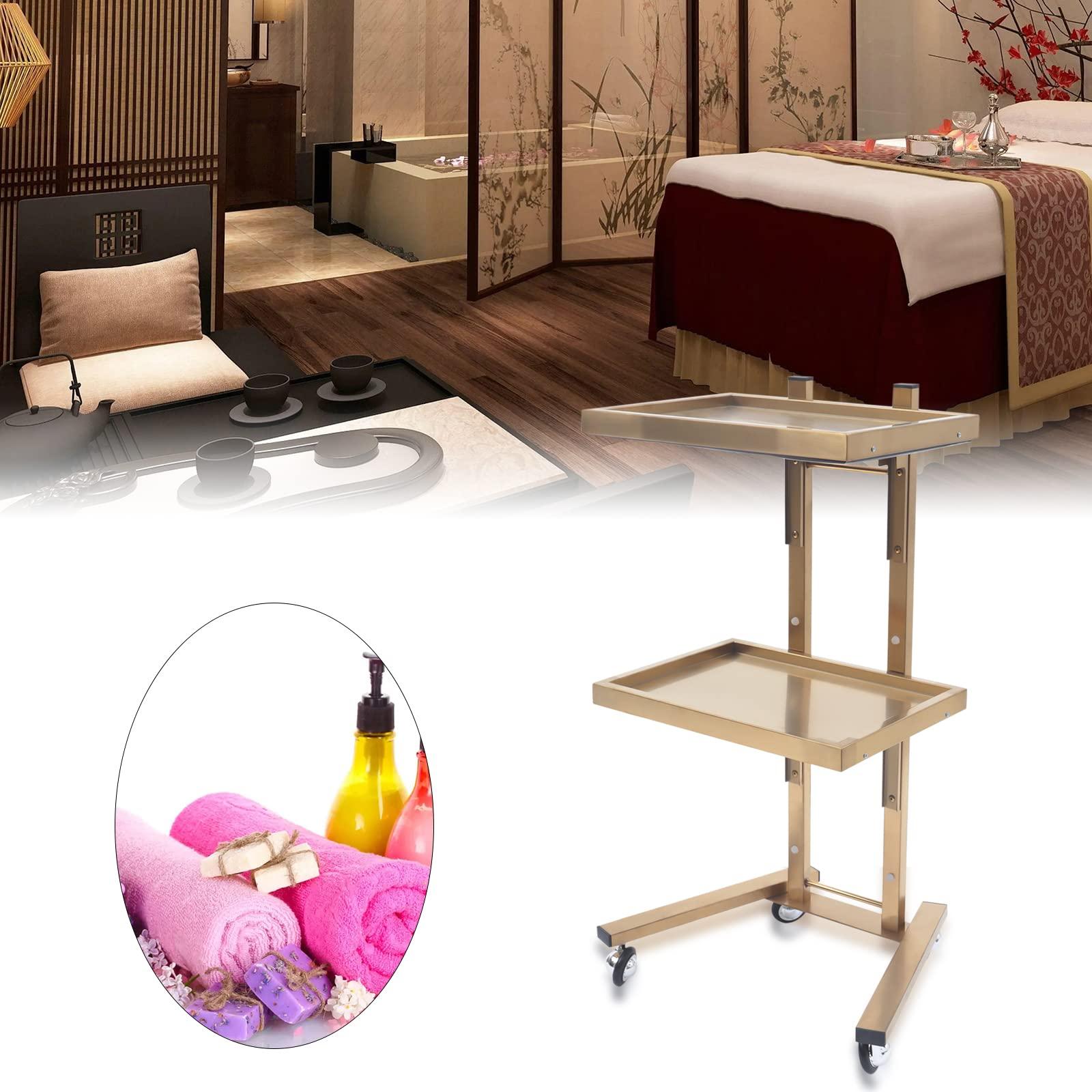 EurHomePlus Salon Tray on Wheels with 2 Tiers, Tattoo Shop Collapsible Utility Carts Stainless Steel Salon Storage Stand, Foldable Gold/Silver Organizer with Wheels (Gold)
