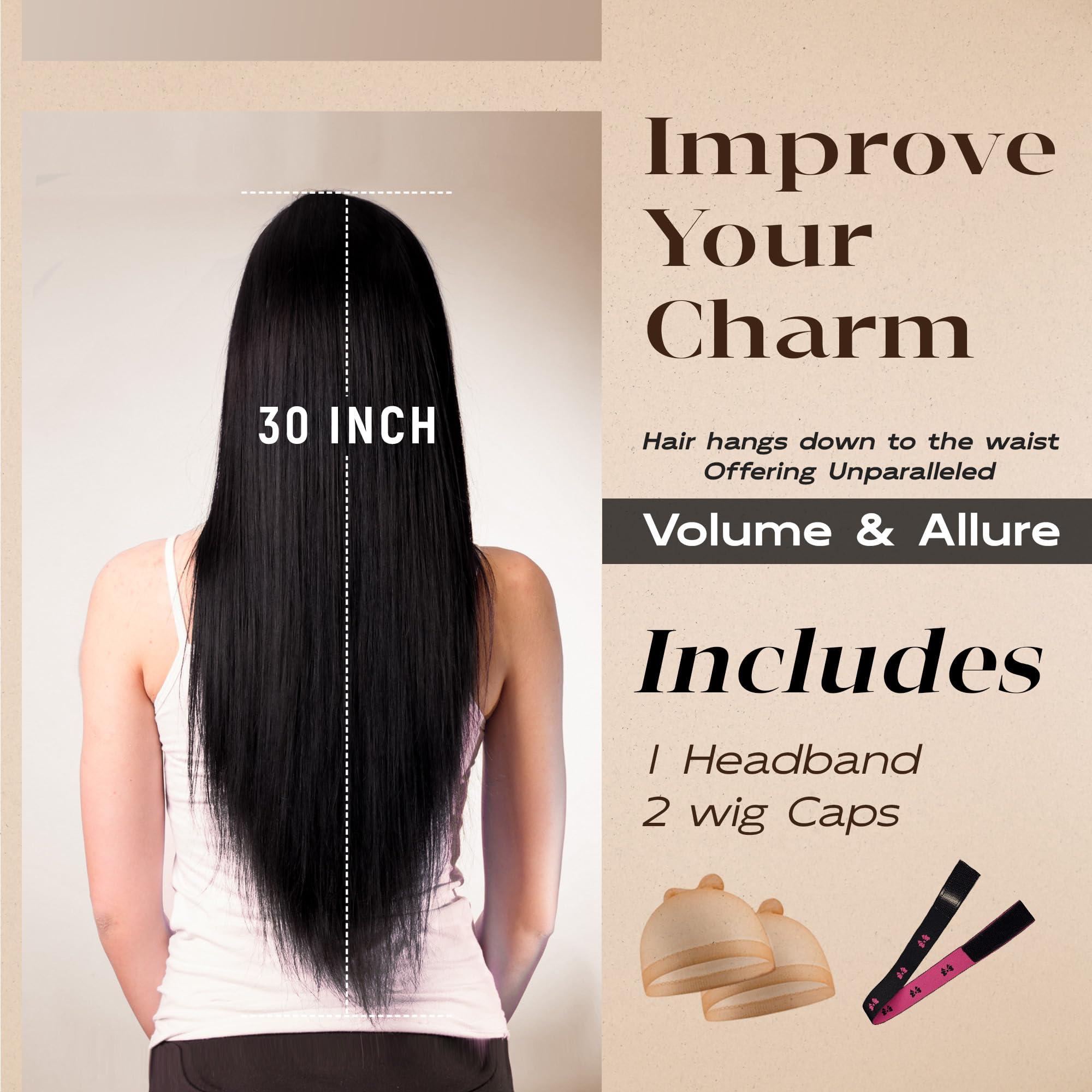 BLL BLL Silver Lace Front Wig, 30 Inch Gray Straight Hair Synthetic Ash White Lace Front Wigs For Women (Silver, 30 Inch)