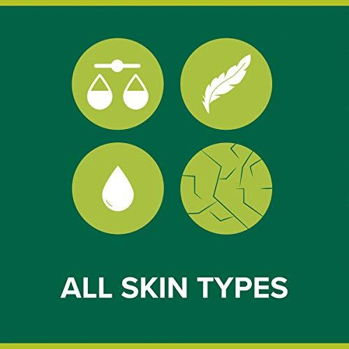 Palmolive Palmolive Aquarium Liquid Handwash with pump 300 ml