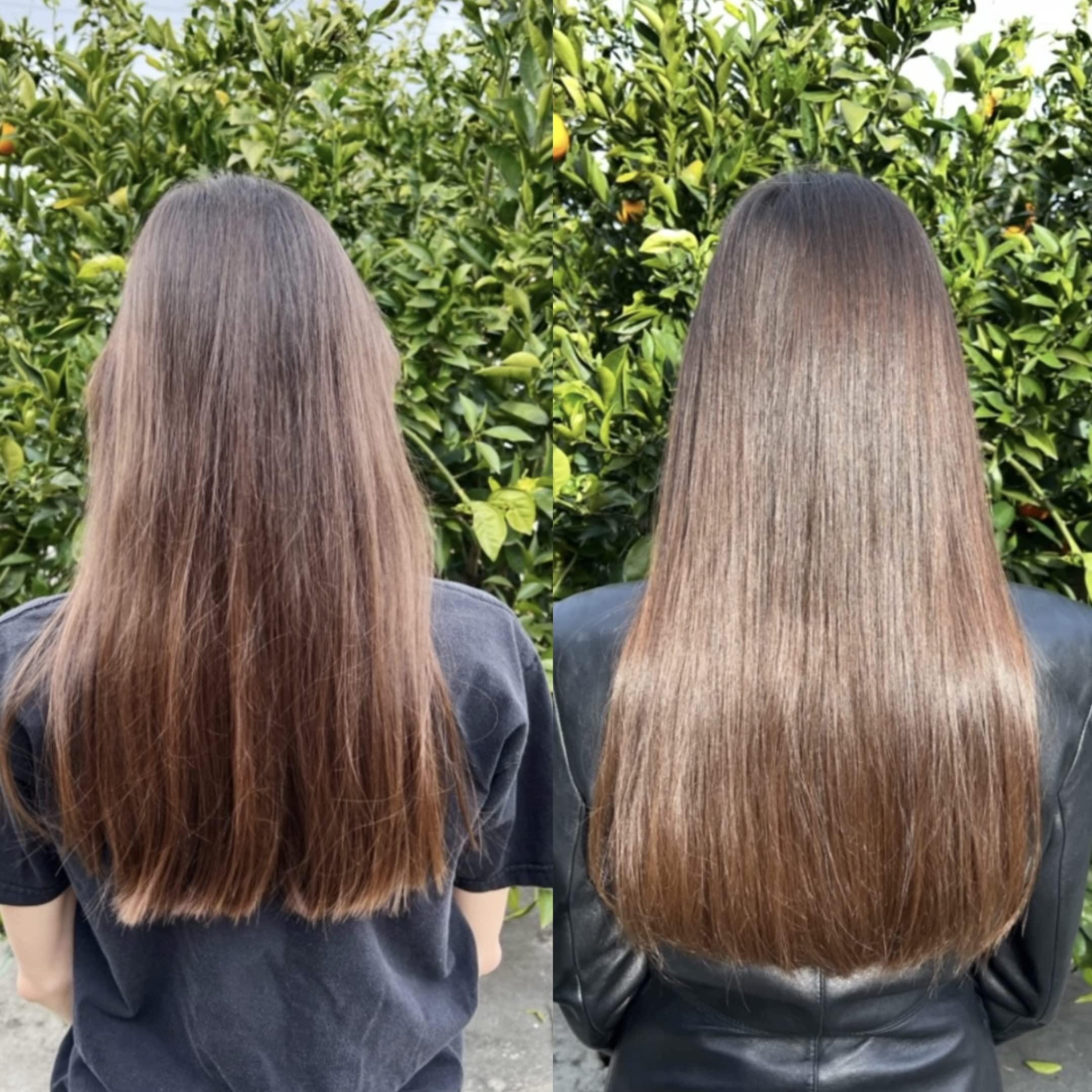 Bur Bur BUR BUR Growing Season Hair Growth And Repair Oil | With Burdock, Nettle Oil and Vitamin C for Visibly Fuller, Stronger and Shinier Hair.