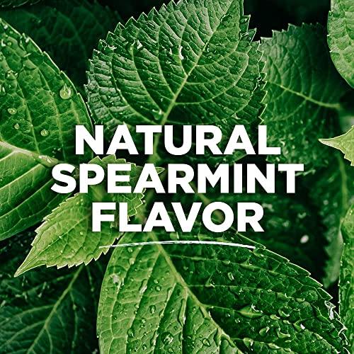 Tom's of Maine Tom\'s of Maine Whole Care Natural Toothpaste with Fluoride, Spearmint, 4 Ounce (Pack of 3), (Packaging May Vary)