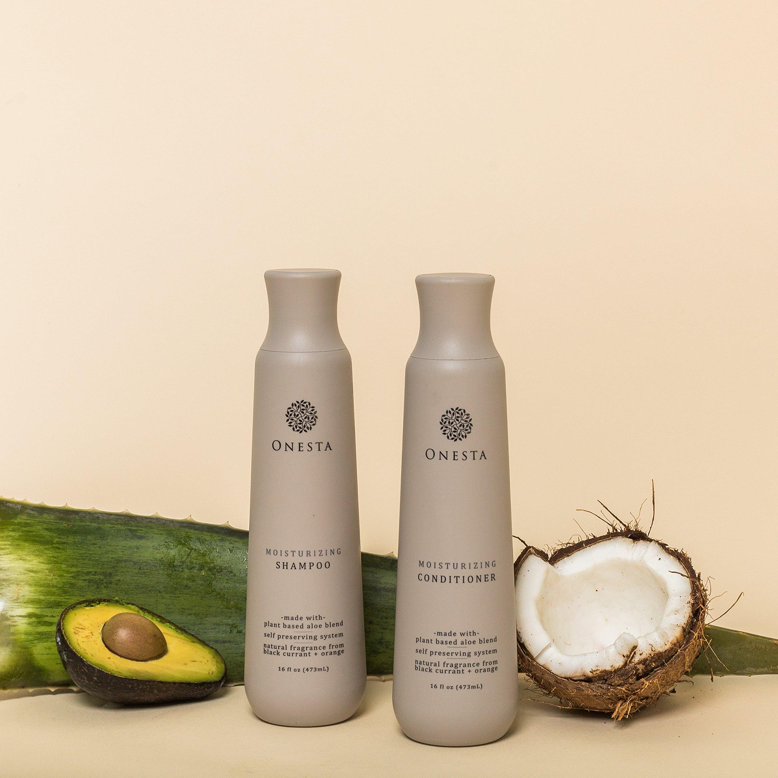 Onesta Hair Care Onesta Hair Care Plant Based Moisturizing Conditioner for Dry and Damaged Hair, 16 Ounces