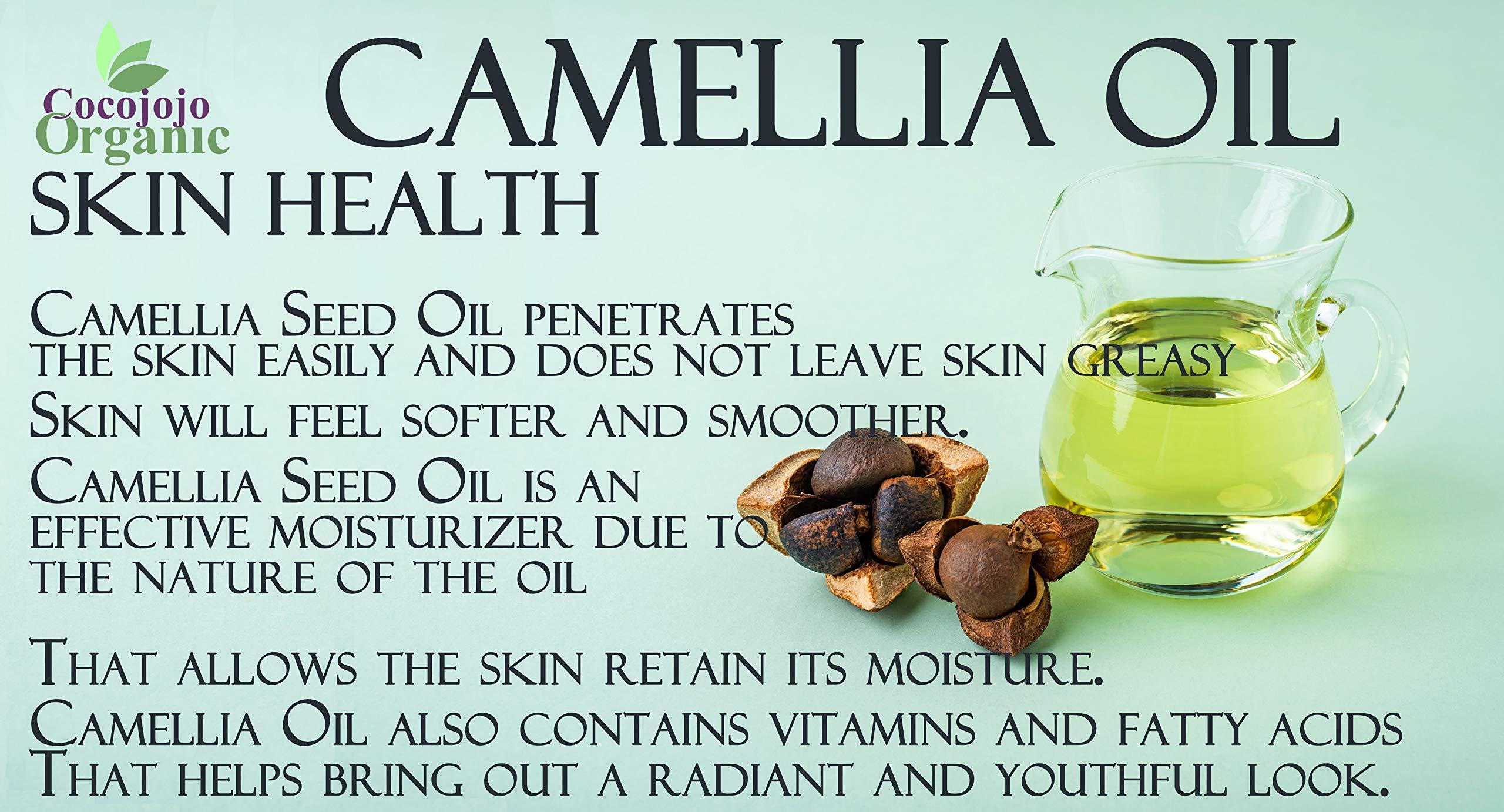 Dr Joe Lab Dr Joe Lab Japanese Camellia Seed Oil - Pure, Cold Pressed, Non-GMO Carrier - 8 oz - for Skin, Hair, Nails, Body, Facial Hair - Hydrating Moisturizing Vegan Nourishing - Packaging May Vary