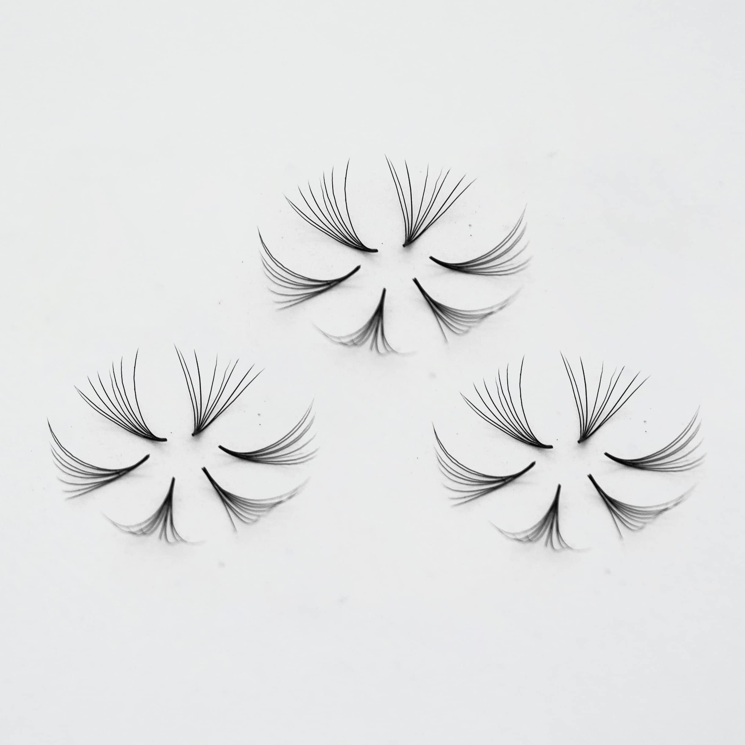 GorgeousLash 8D Lashes, 1000 Premade Volume Fans. Eyelash Extensions. Handmade! (8D - 007 - D Curl, 13mm)
