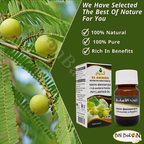 bonballoon Elhawag Alamlag Phyllanthus Oil Pure & Natural Cold Pressed Al Hawaj El Hawag Concentrated & Crude Perfect Fresh It Has Many Uses For Food Hair Skin Body (1 Pack = 1 oz / 30 ml)