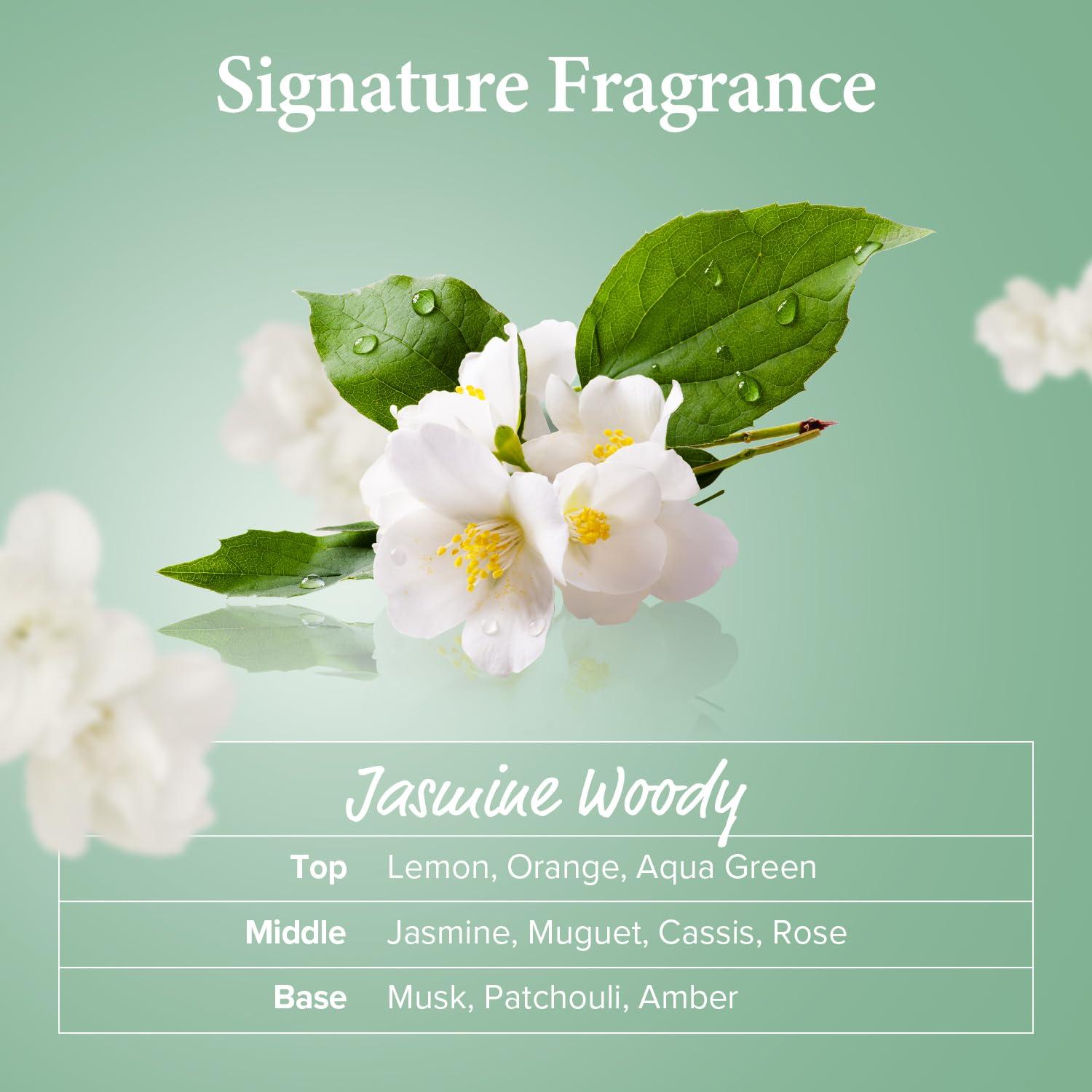 Kundal Kundal Tea Tree & Macadamia Deep Cleansing Shampoo - Korean Hair Care, Scalp Care, Tea Tree extract, For All hair Types 10.14fl oz each (Pack of 2) (Jasmine Woody)