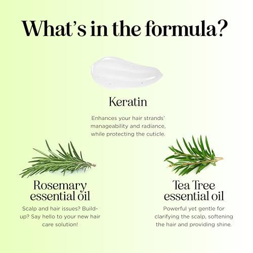 Maple Holistics Tea Tree Shampoo and Conditioner Set - Sulfate Free Clarifying Shampoo and Conditioner for Oily Hair & Scalp Care with Australian Tea Tree Oil - Complete Dry Scalp Treatment for Build Up (16 Fl Oz)