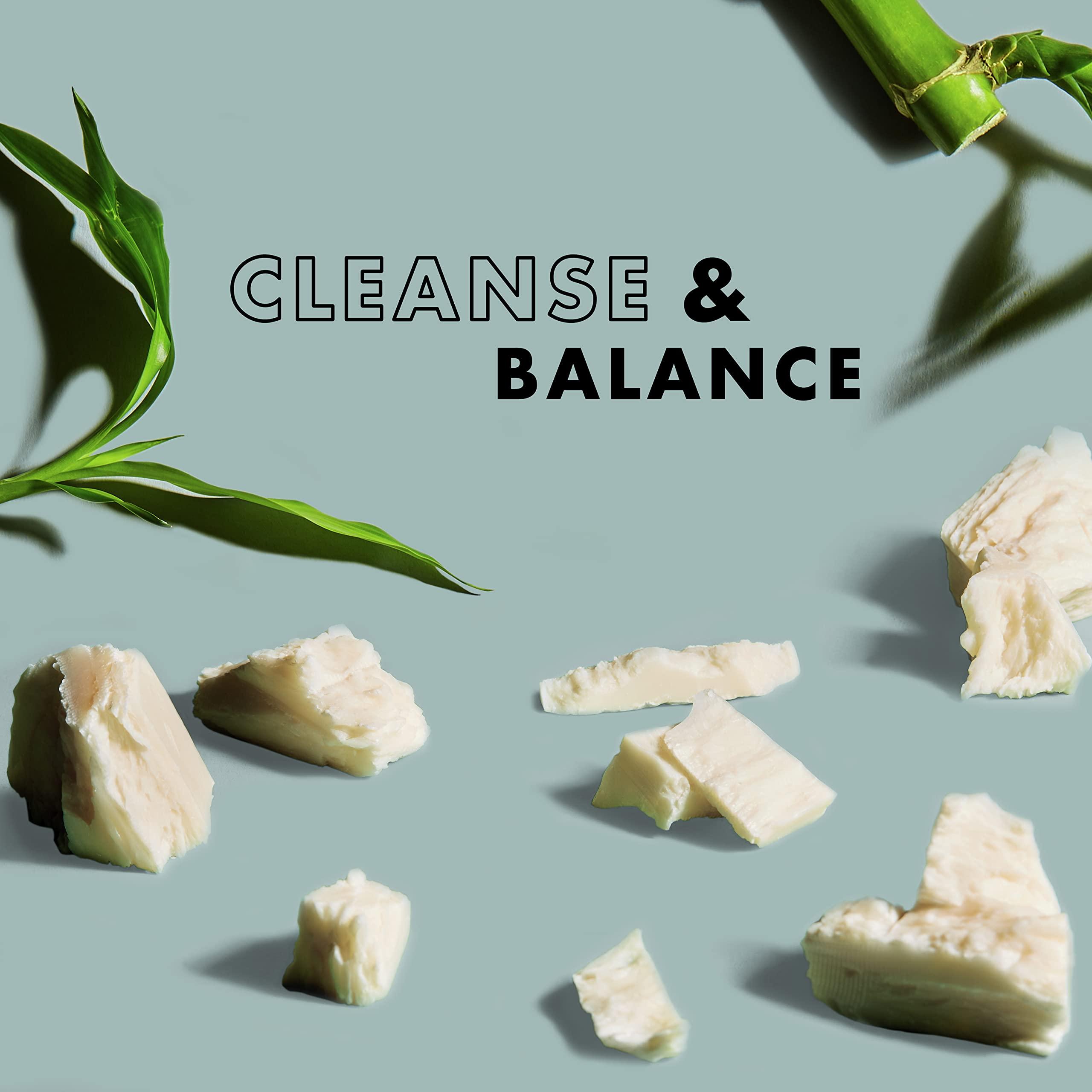 SheaMoisture SheaMoisture African Black Soap Body Wash 13 fl. oz