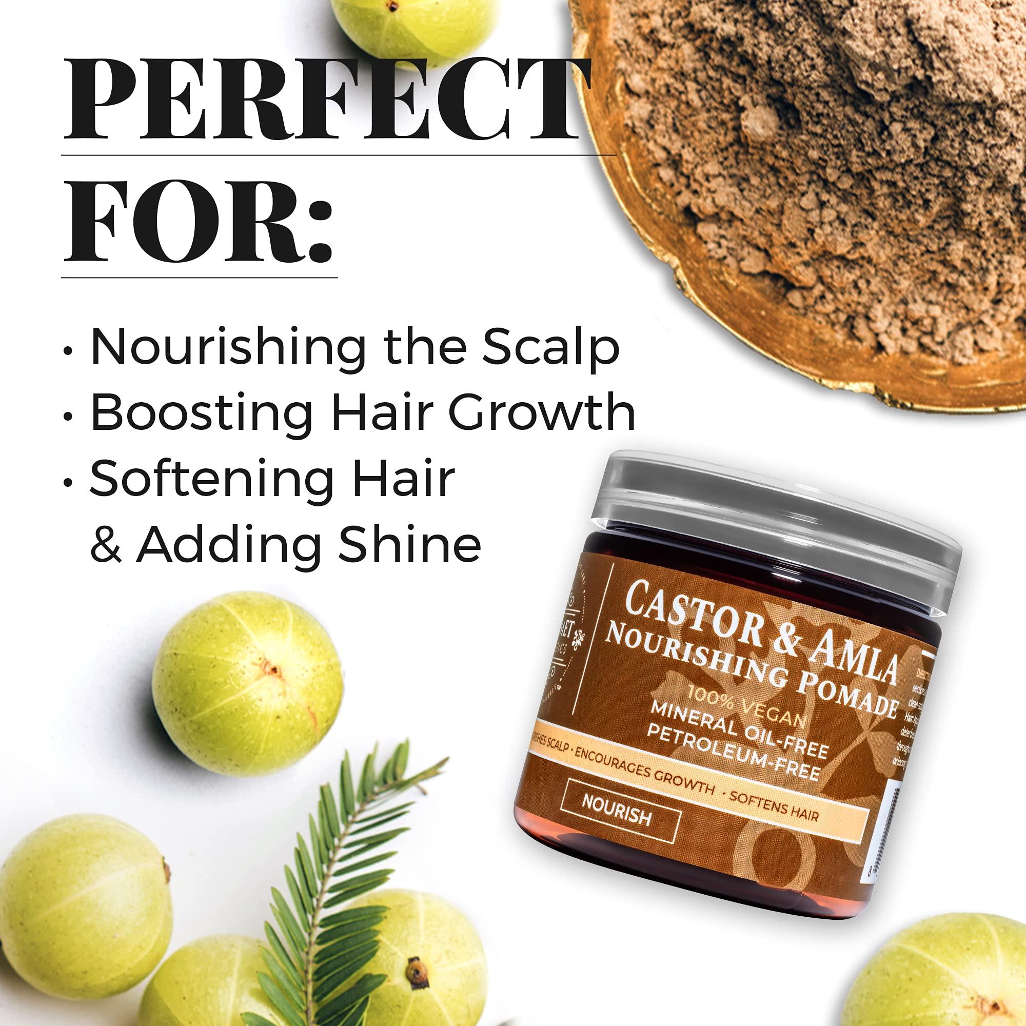 Qhemet Biologics Qhemet Biologics Castor & Amla Nourishing Pomade - Vegan Pomade and Scalp Conditioner with Castor Oil and Amla - Adds Softness, Pliability & Sheen to Locs, Cornrows, Twists & Loose Hair (4 oz)