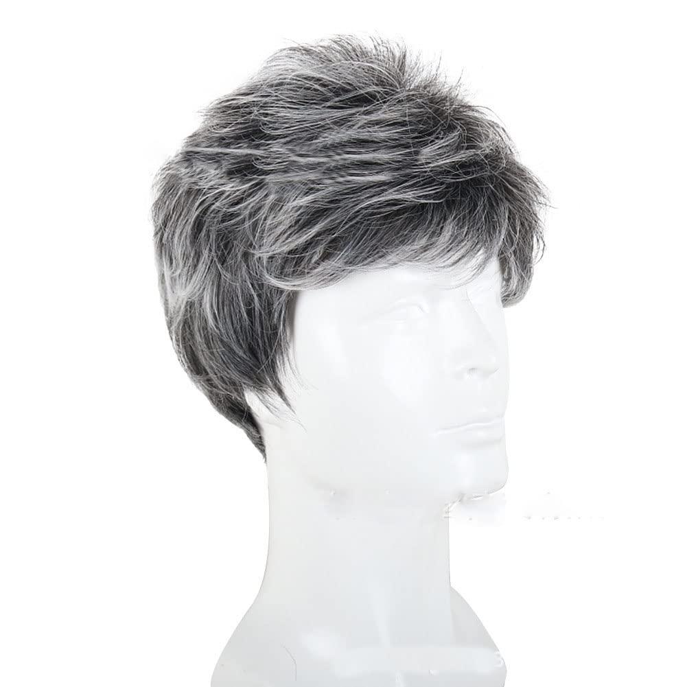 DKE&YMQ DKE&YMQ Grey Wig for Men, Fluffy and Realistic Short Hair Old Man Wig Side Parting Gentleman Men's Natural Hair Suitable for Middle-Aged and Elderly People's Daily Party Wear Christmas Banquet