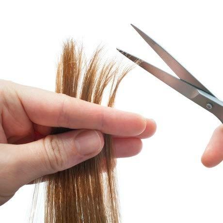 ALLEX\????? ALLEX Japanese Hair Cutting Scissors Small 6 Inch for Kids and Babies, Home Haircut Barber Scissors, Japanese Stainless Steel, Black, Made in JAPAN